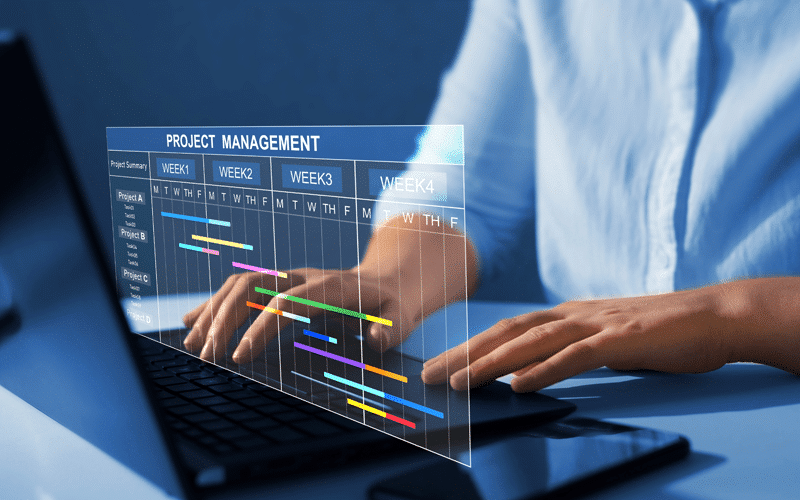Project Portfolio Management PPM